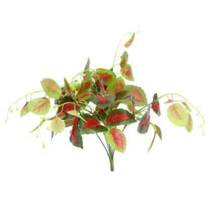 45cm Mixed Leaves Bunch Plant with Red-Centered Leaves