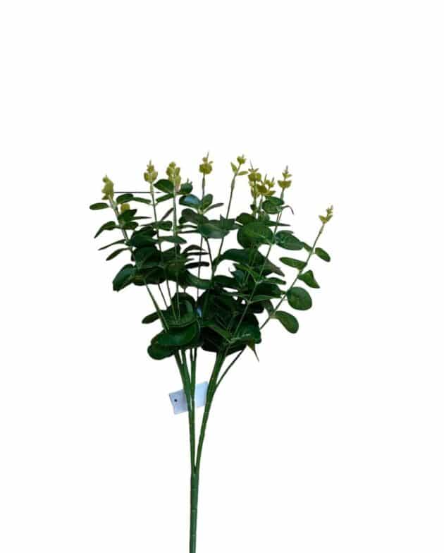 Eucalyptus bunch – 50 cm greenery