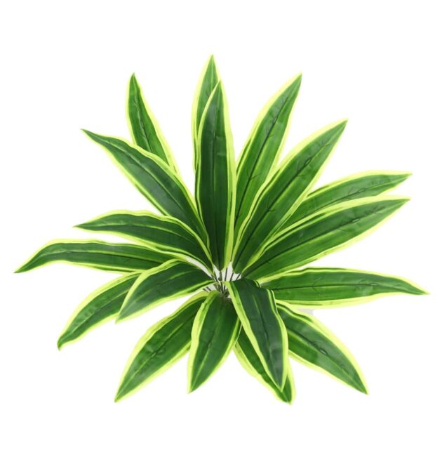 70cm Green Dracaena Leaf Stem