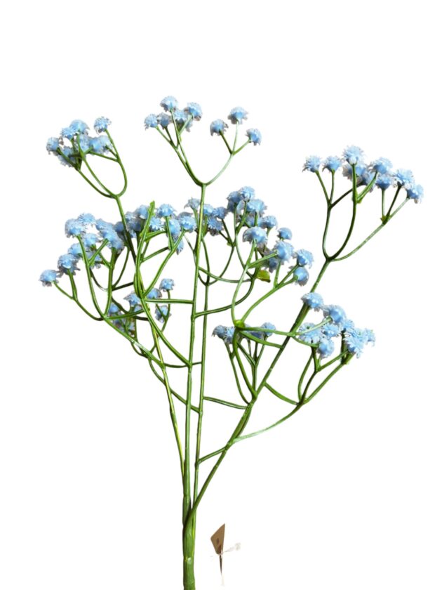 baby's breath - gypsophila flower