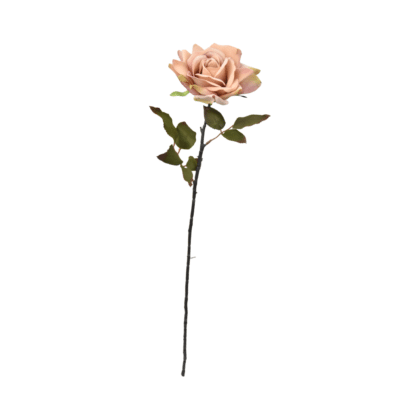 Single open rose with black stem – 70 cm, beige