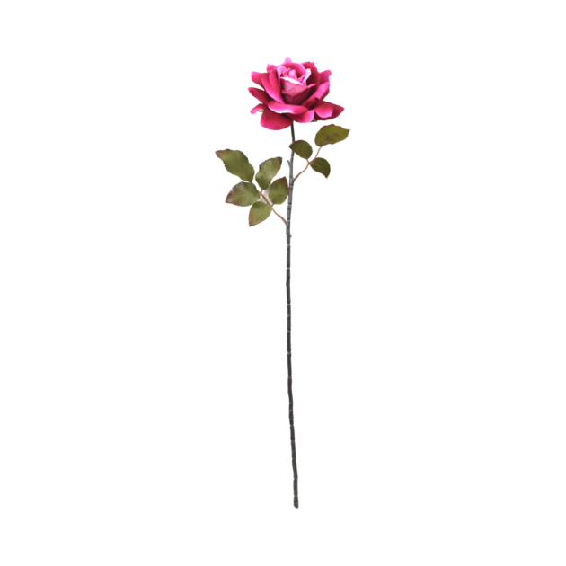 Single open rose with a black stem – 70 cm, pink