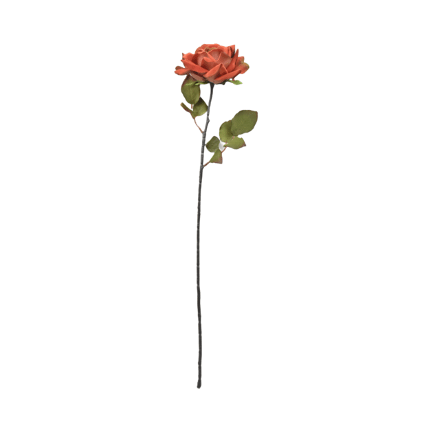 Single open rose – 70 cm black stem, rust-coloured bloom