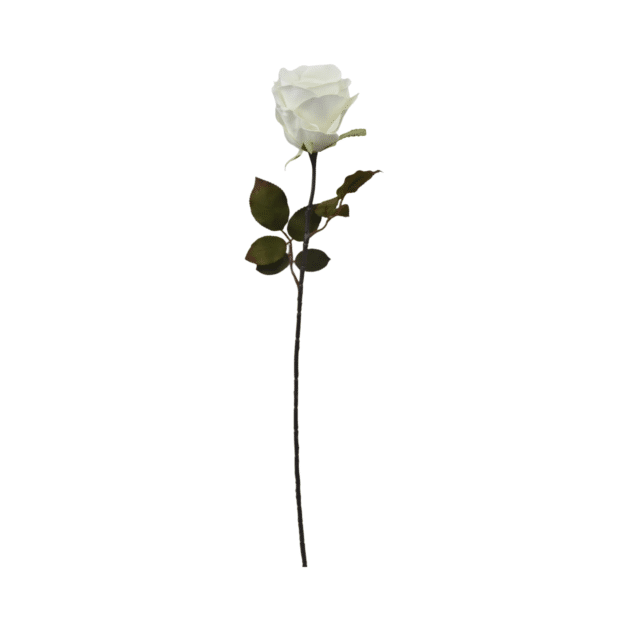 70cm White Rose Bud with Long Stem