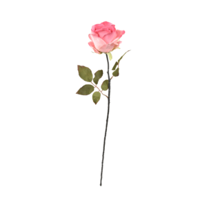 Single rose bud – 70 cm baby pink
