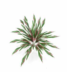 70cm Variegated Leaf Stem Green