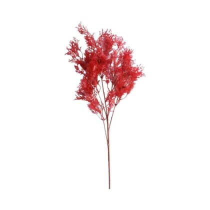 90cm Bright Red Sea Branch