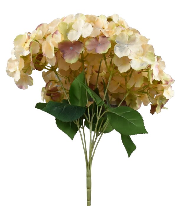 7-head hydrangea bunch – 50 cm