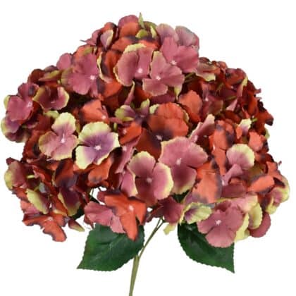 7-head hydrangea bunch – 50 cm