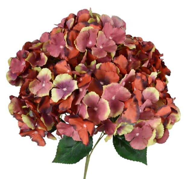 7-head hydrangea bunch – 50 cm