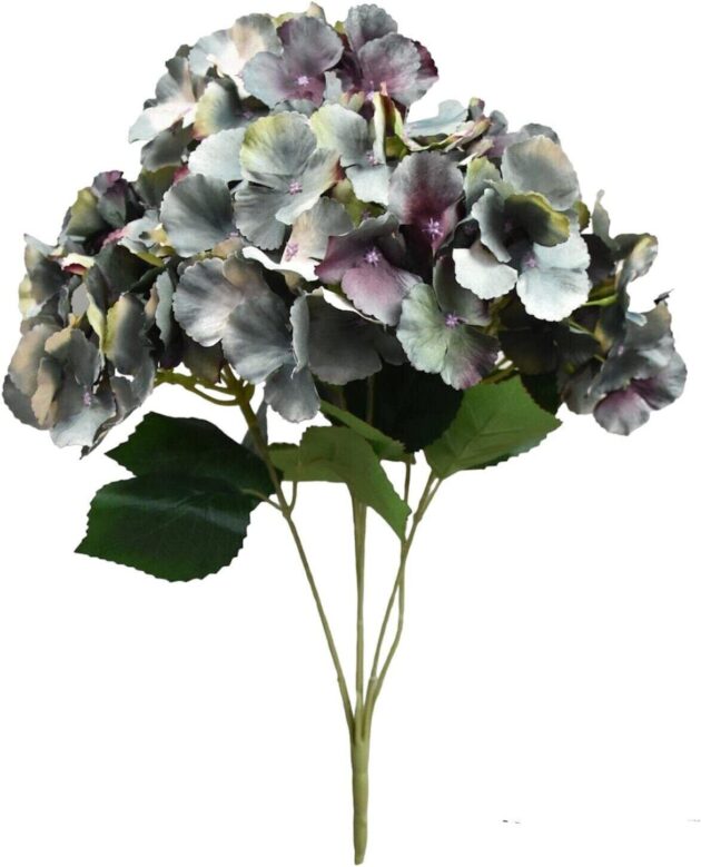 7-head hydrangea bunch – 50 cm forest green