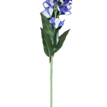 Delphinium – 80 cm purple