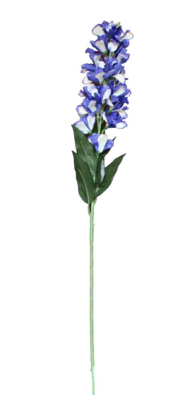 Delphinium – 80 cm purple