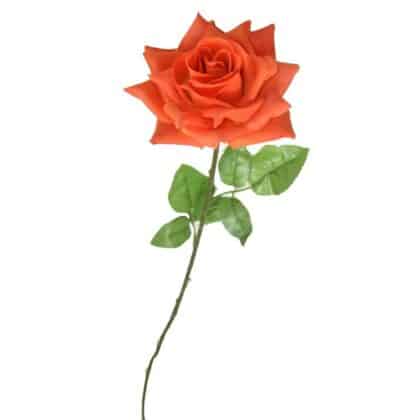 Single velvet long stem rose – 75 cm orange