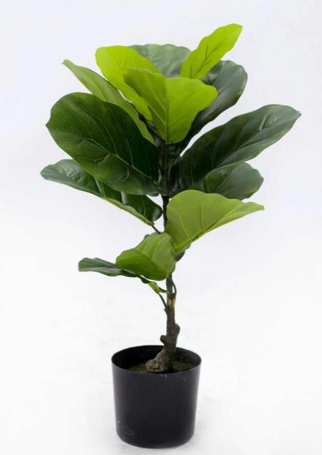 Artificial fiddle tree – 5 sizes