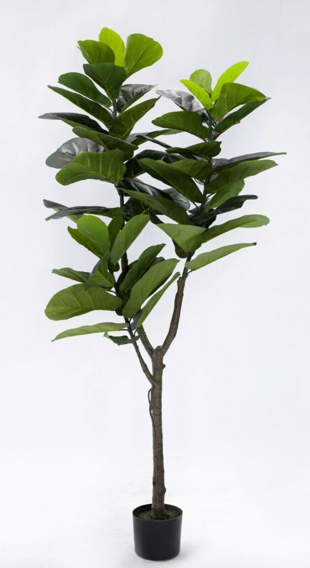 Artificial fiddle tree – 5 sizes