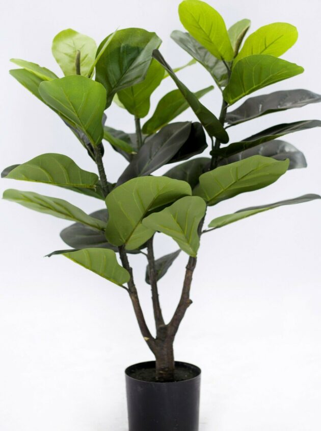 Artificial fiddle tree – 5 sizes