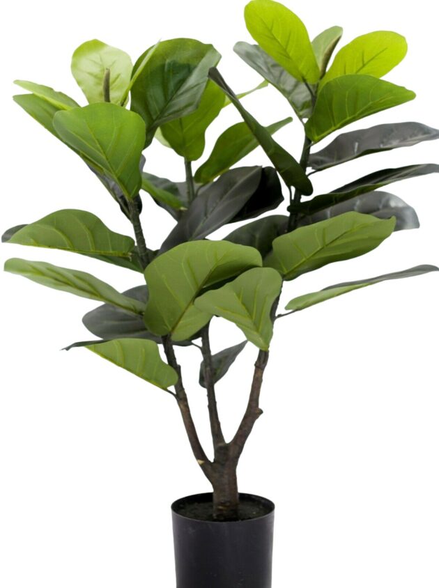 Artificial fiddle tree – 5 sizes