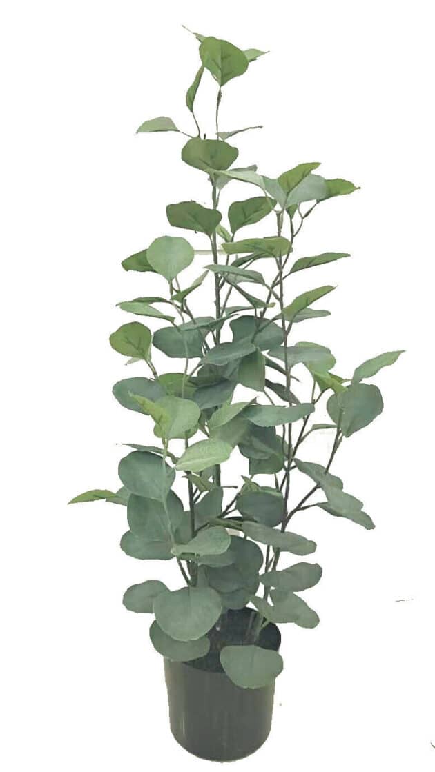 Artificial eucalyptus tree – 5 sizes