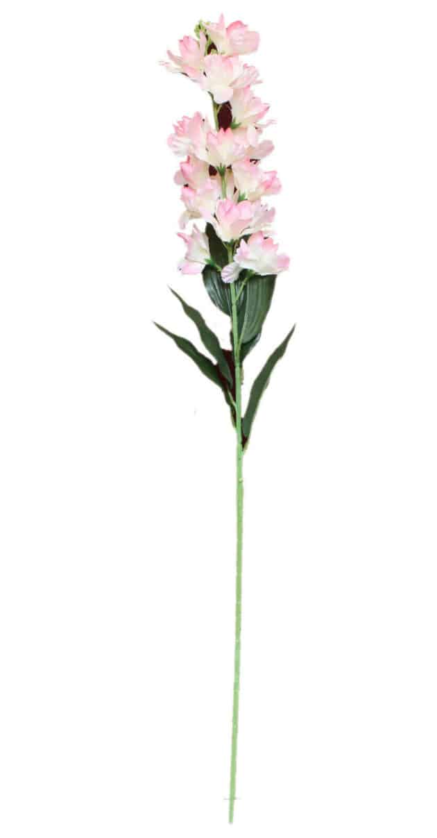 Delphinium – 80 cm pink