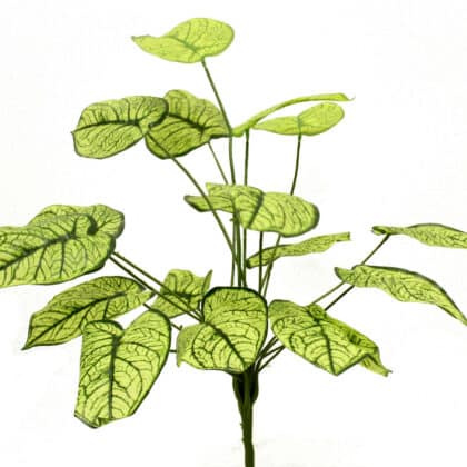 Green plant – 70 cm with light green leaves