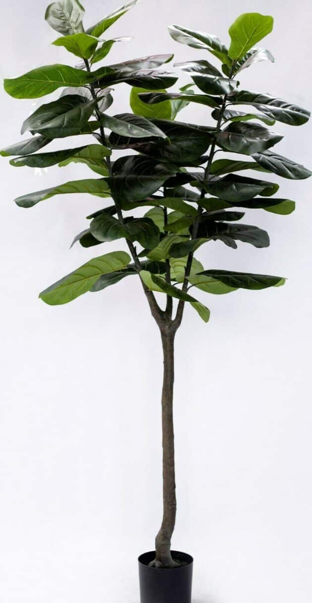 Artificial fiddle tree – 5 sizes