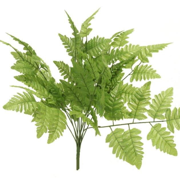 Green plant – 70 cm fern leaf