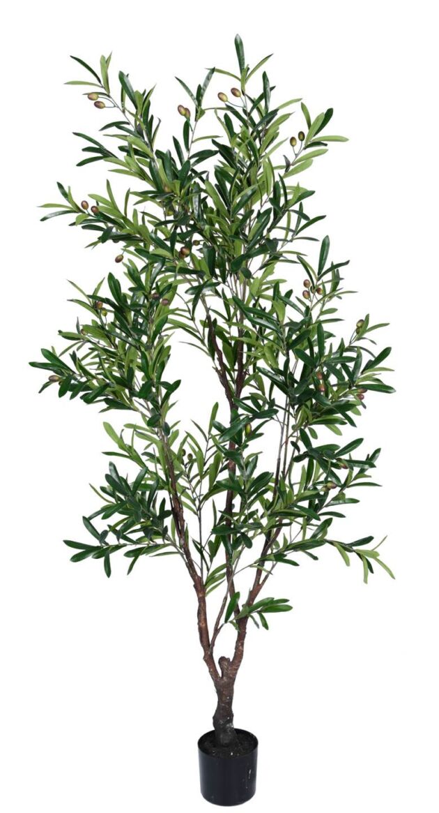 Elegant Olive Fruit Tree, Lifelike artificial olive plant, Faux olive tree with green fruit, Faux olive tree with black fruit, Large artificial olive tree