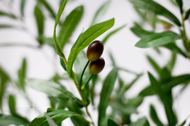 Elegant Olive Fruit Tree, Lifelike artificial olive plant, Faux olive tree with green fruit, Faux olive tree with black fruit, Large artificial olive tree