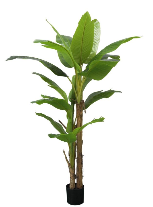 Majestic Real-Life Banana Tree, Lifelike artificial banana plant, Faux banana tree in home decor, Tropical faux banana tree, Large artificial banana tree