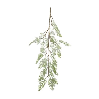 chonemorpha vine 120cm