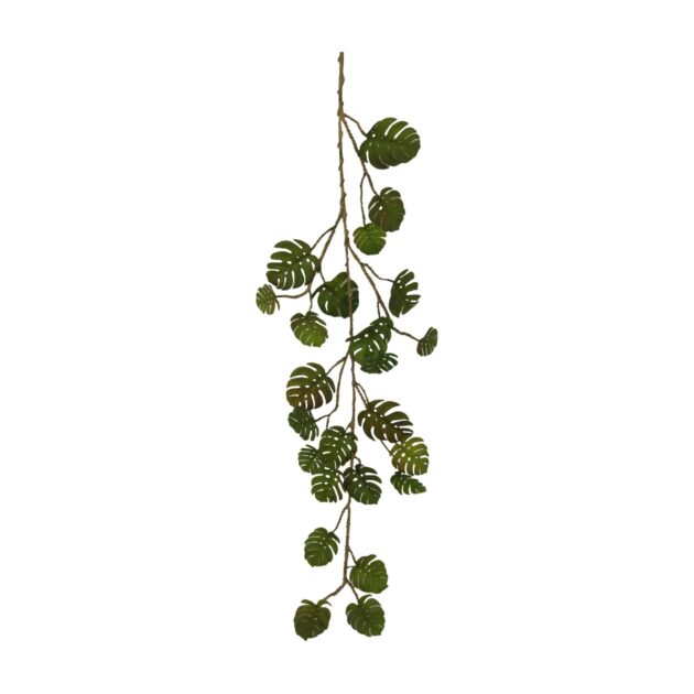 Monstera Vine 110cm