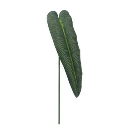 Flaming Leaf 75cm