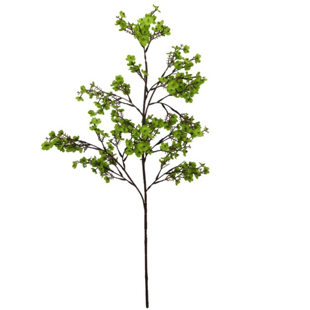 Winter Sweet Long Stem 100cm - Image 2
