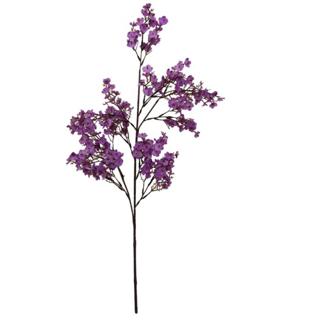 Winter Sweet Long Stem 100cm - Image 3