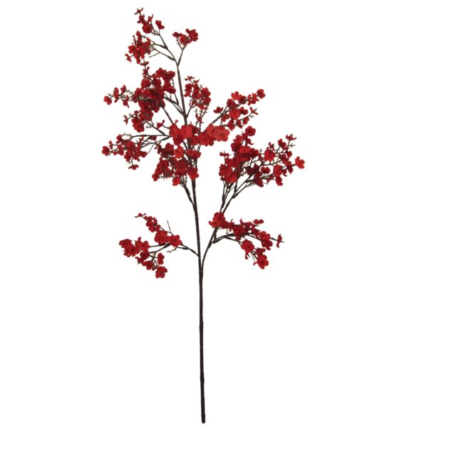 Winter Sweet Long Stem 100cm - Image 4