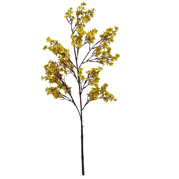 Winter Sweet Long Stem 100cm - Image 6