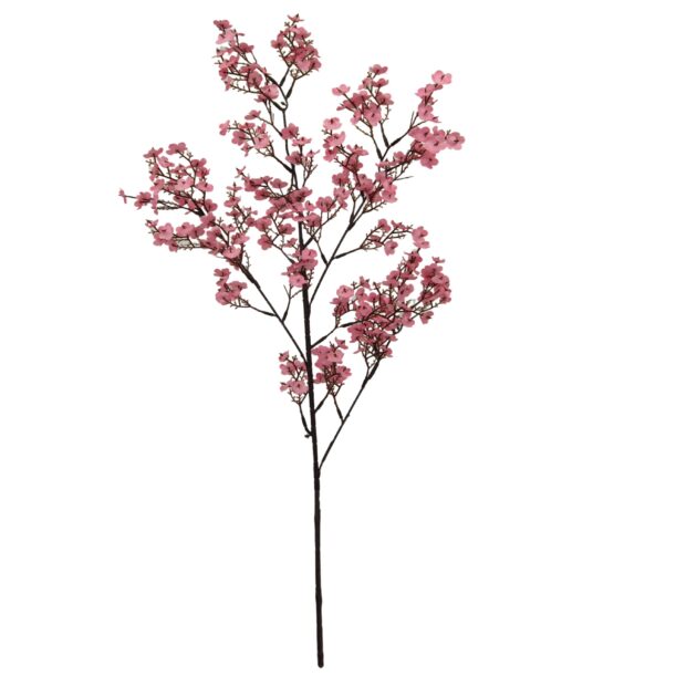 Winter Sweet Long Stem 100cm - Image 7