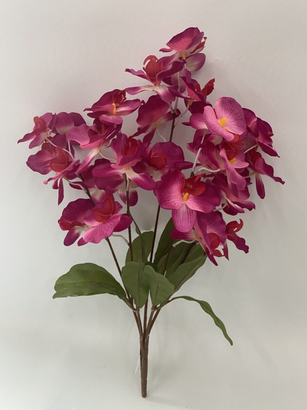 5 Branch Orchid Bunch 60cm - Image 2
