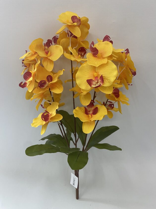 5 Branch Orchid Bunch 60cm