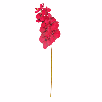 Single Orchid 90cm