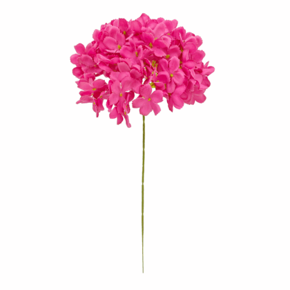 Single Head Hydrangea